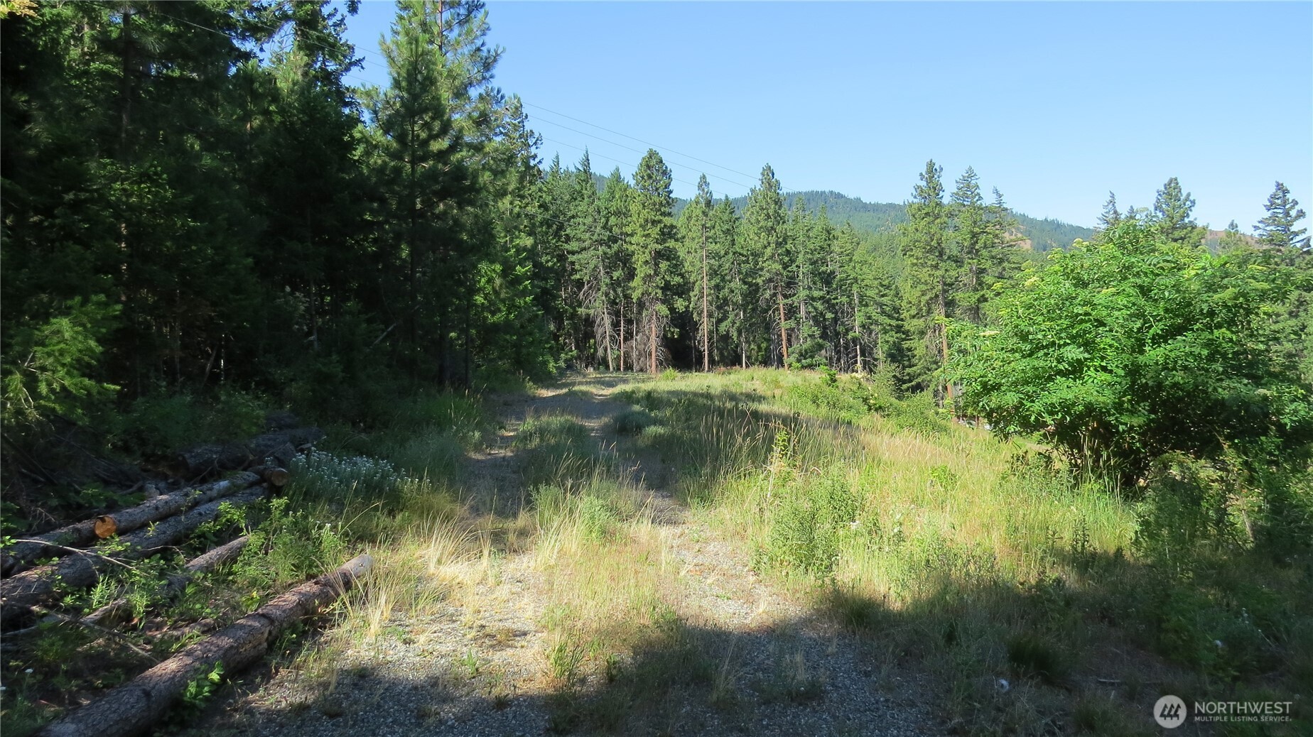 1481 Casassa Road Property Photo 6