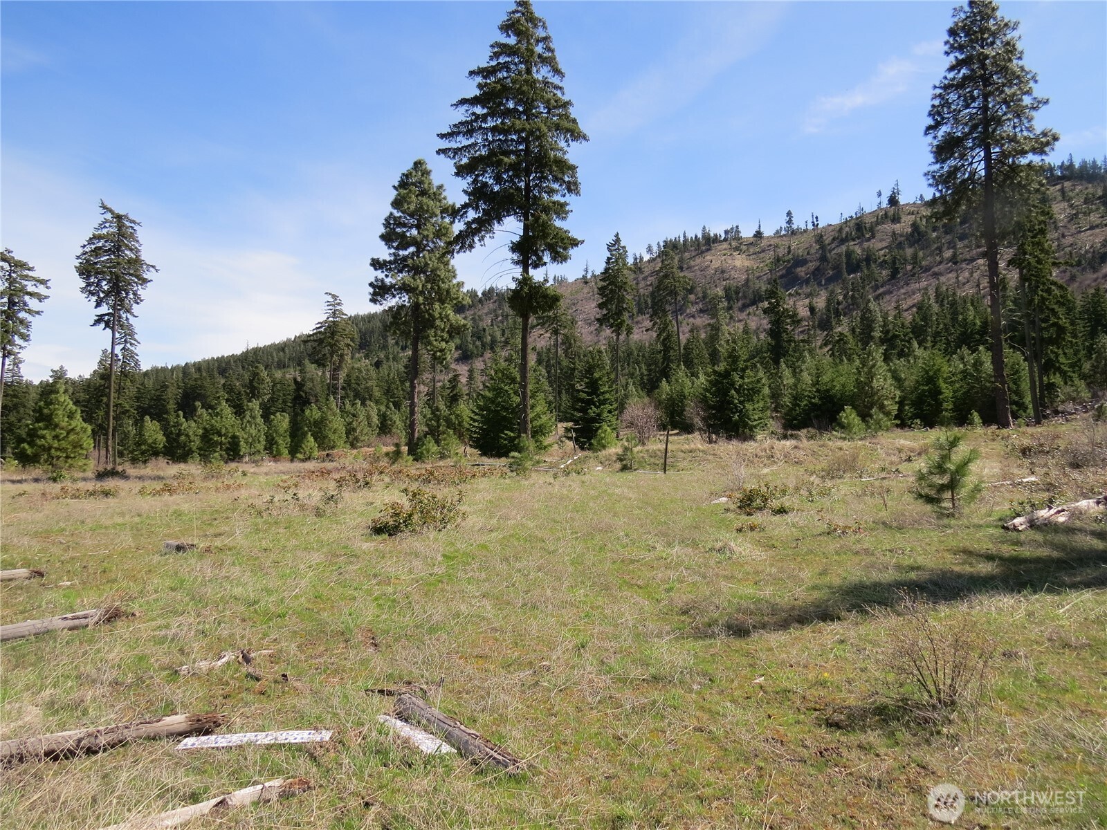 1481 Casassa Road Property Photo 7