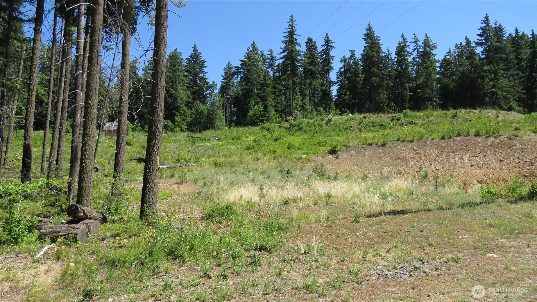 1481 Casassa Road Property Photo 10