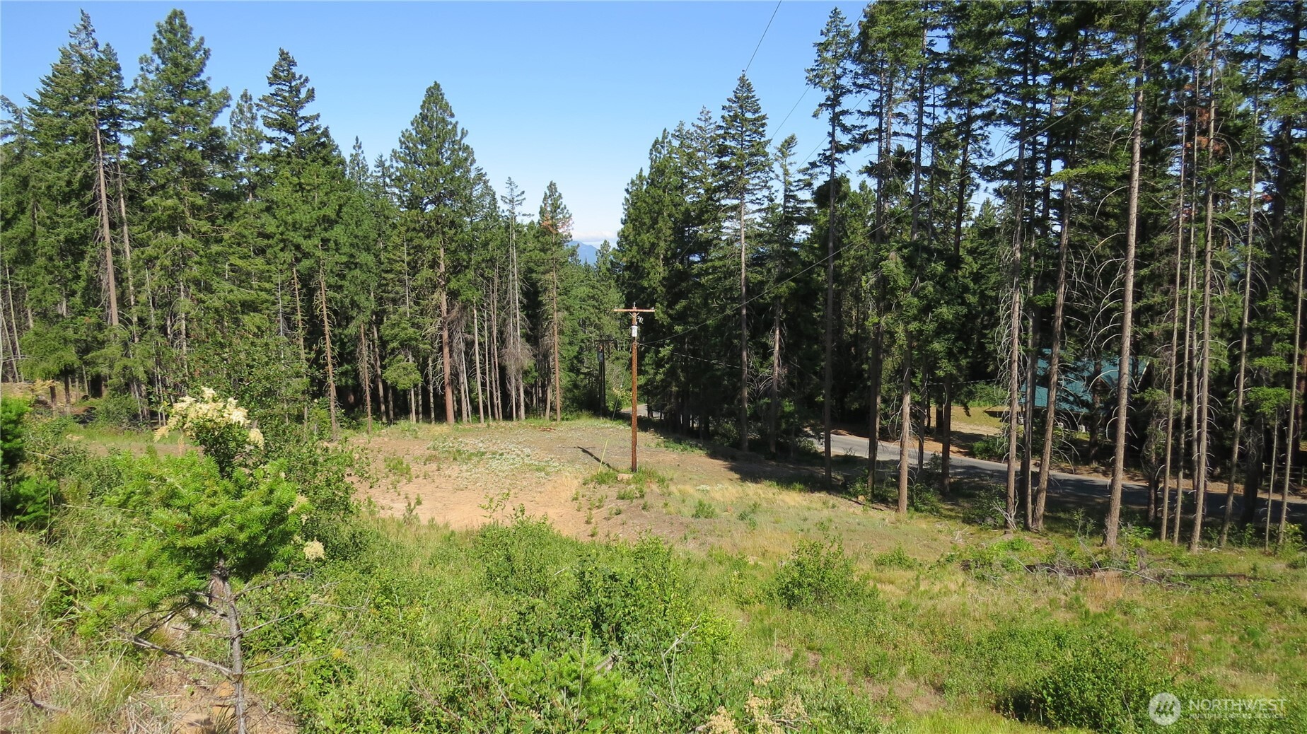 1481 Casassa Road Property Photo 13