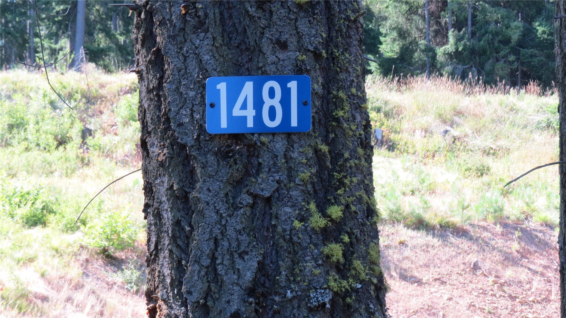 1481 Casassa Road Property Photo 23