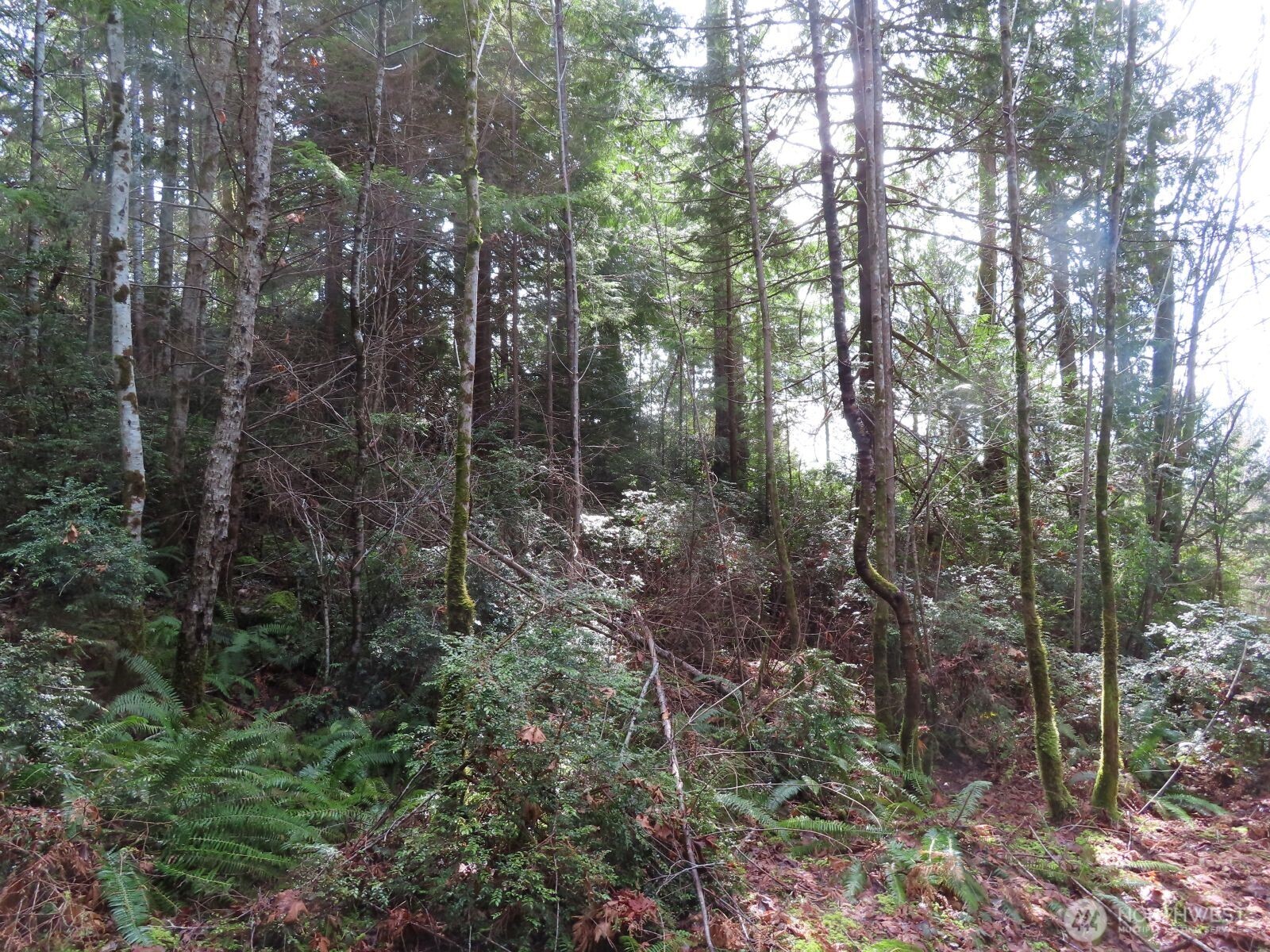0 Xxx Seagull Way Property Photo 8