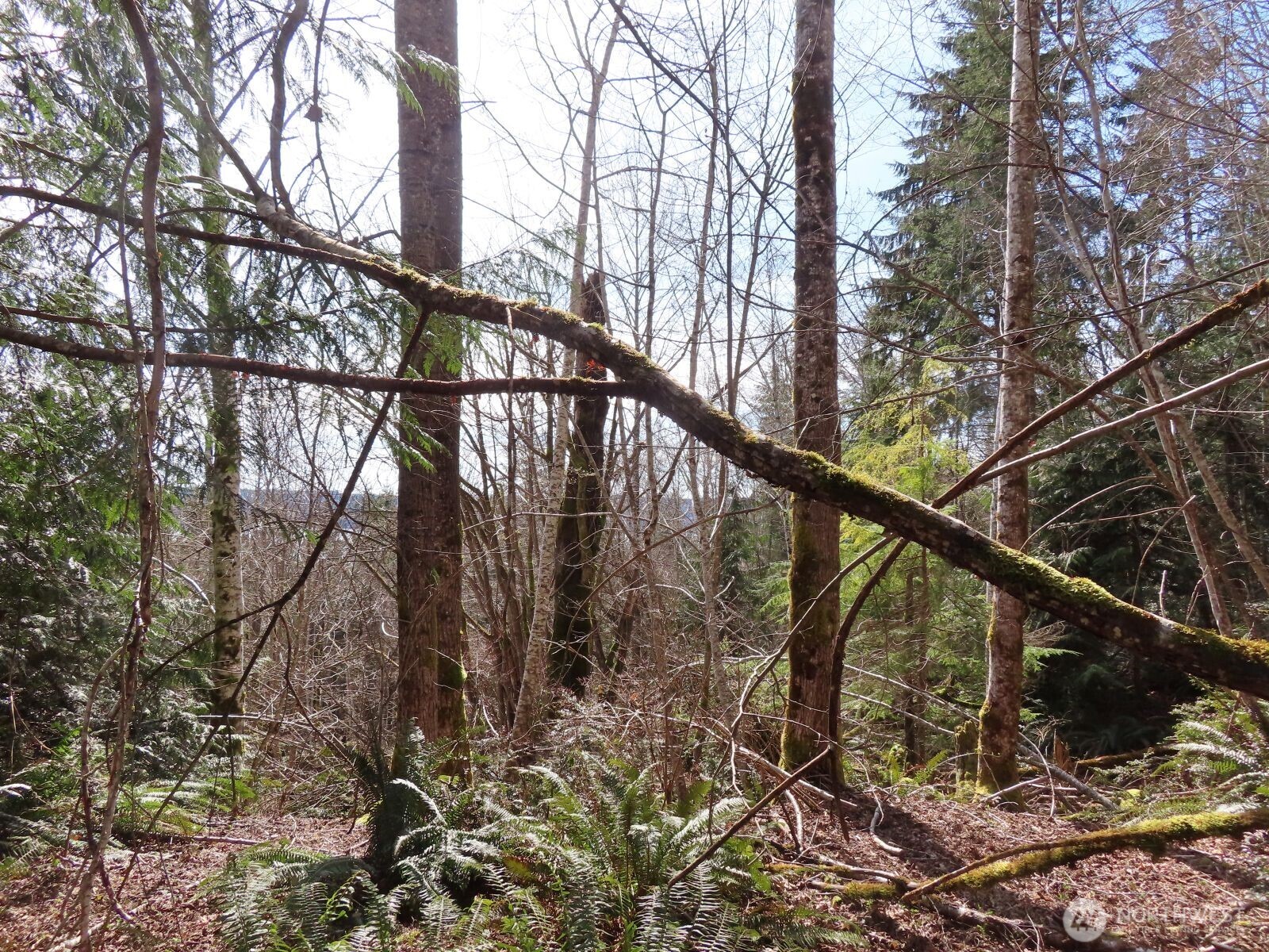 0 Xxx Seagull Way Property Photo 10