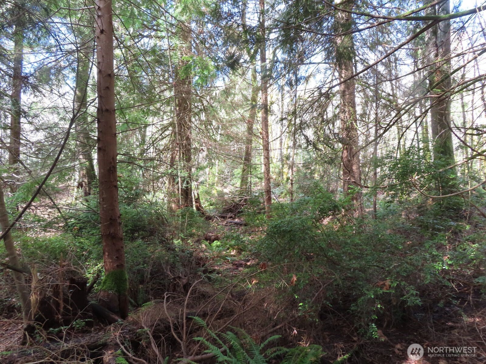 0 Xxx Seagull Way Property Photo 15