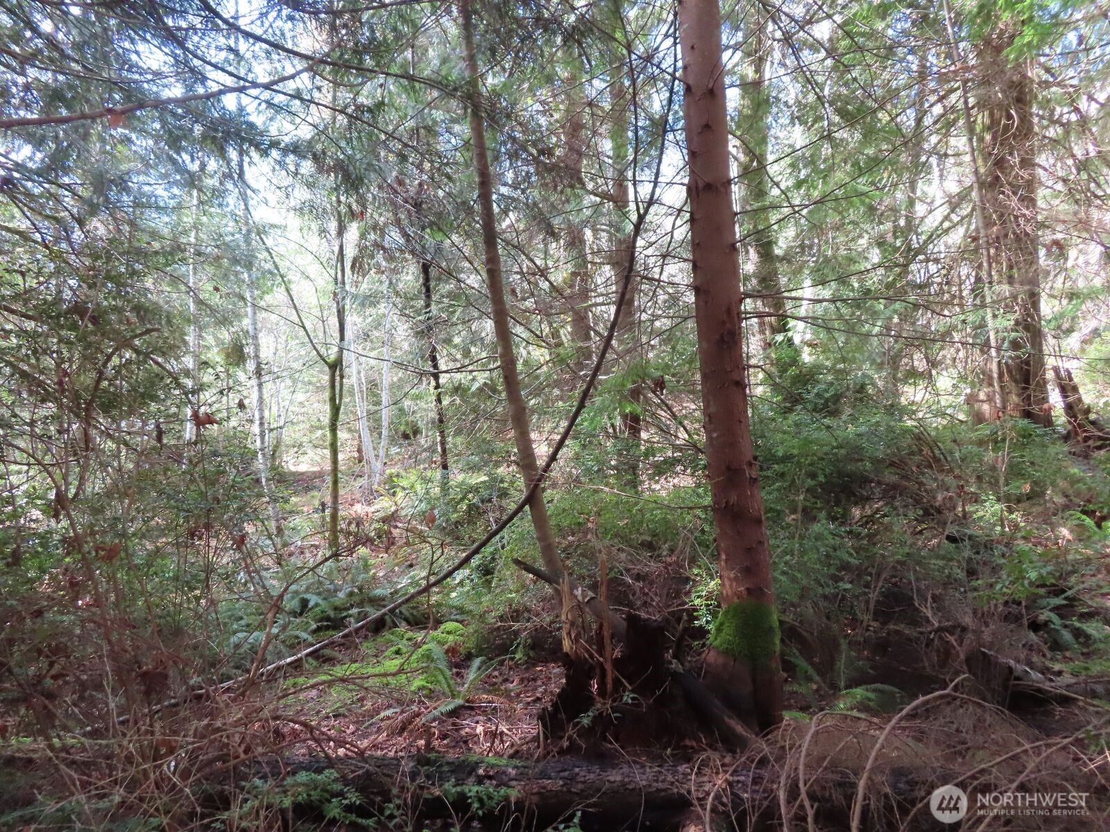 0 Xxx Seagull Way Property Photo 24