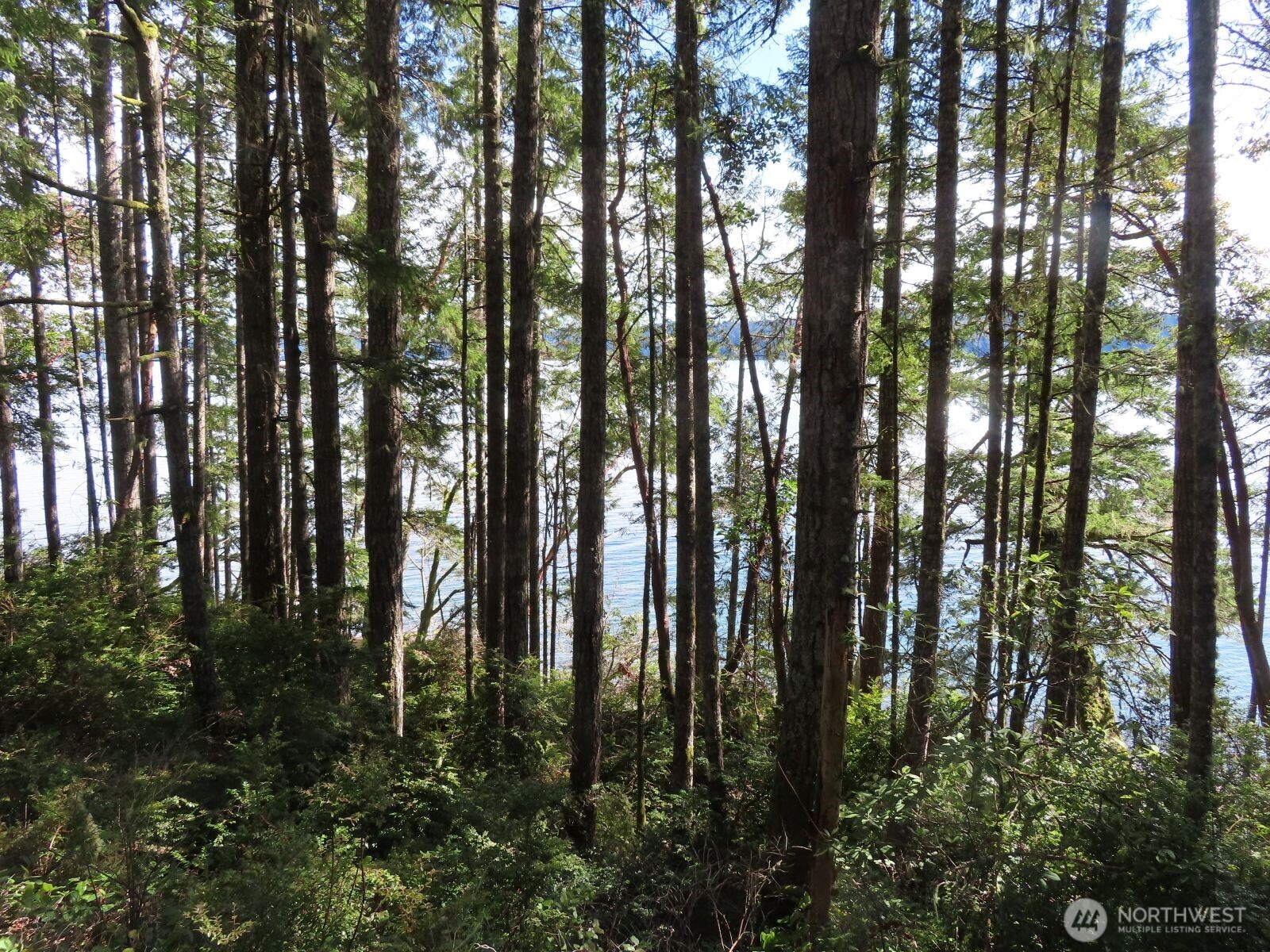 0 Xxx Seagull Way Property Photo 26