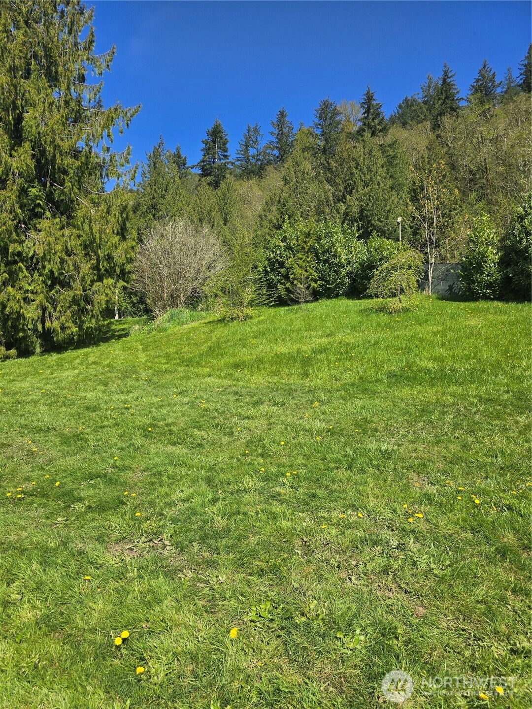 0 Winston Creek Road Property Photo 5