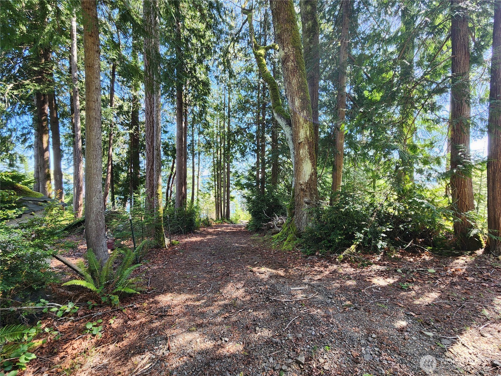 0 Hwy 101 Property Photo 4