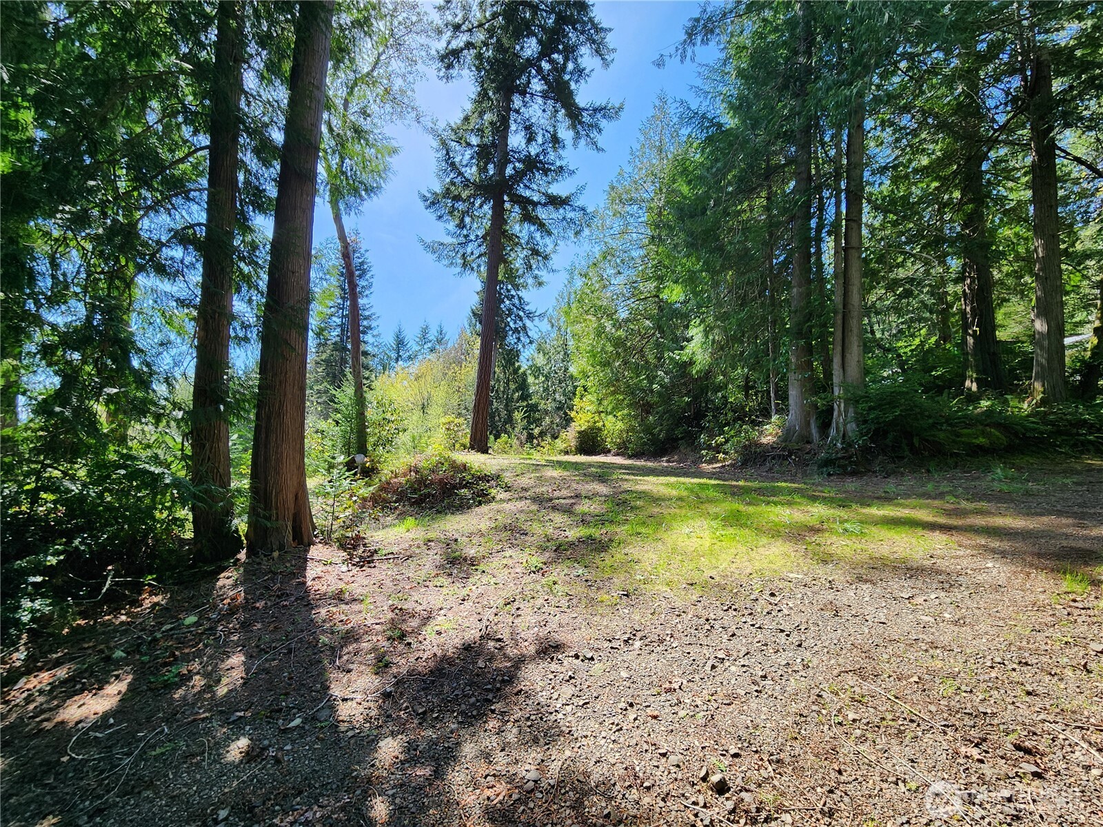 0 Hwy 101 Property Photo 5