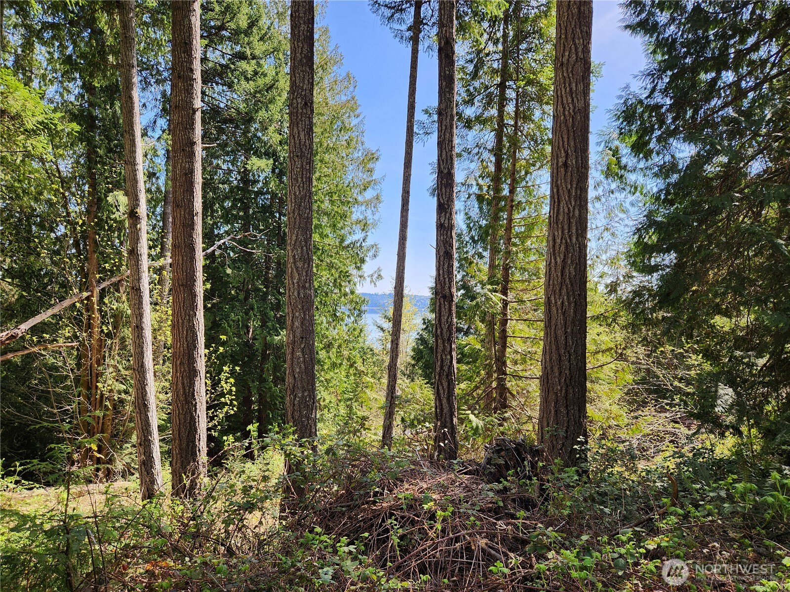 0 Hwy 101 Property Photo 7