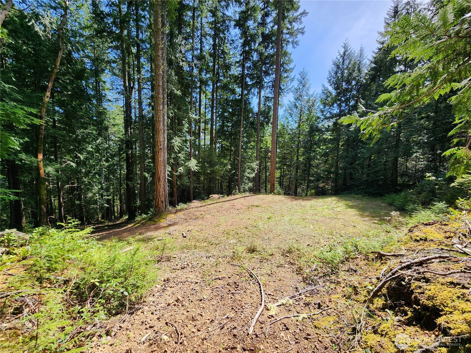 0 Hwy 101 Property Photo 10