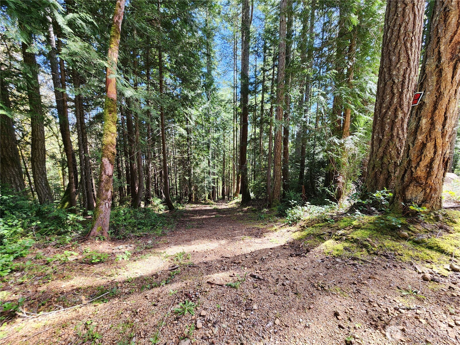 0 Hwy 101 Property Photo 11