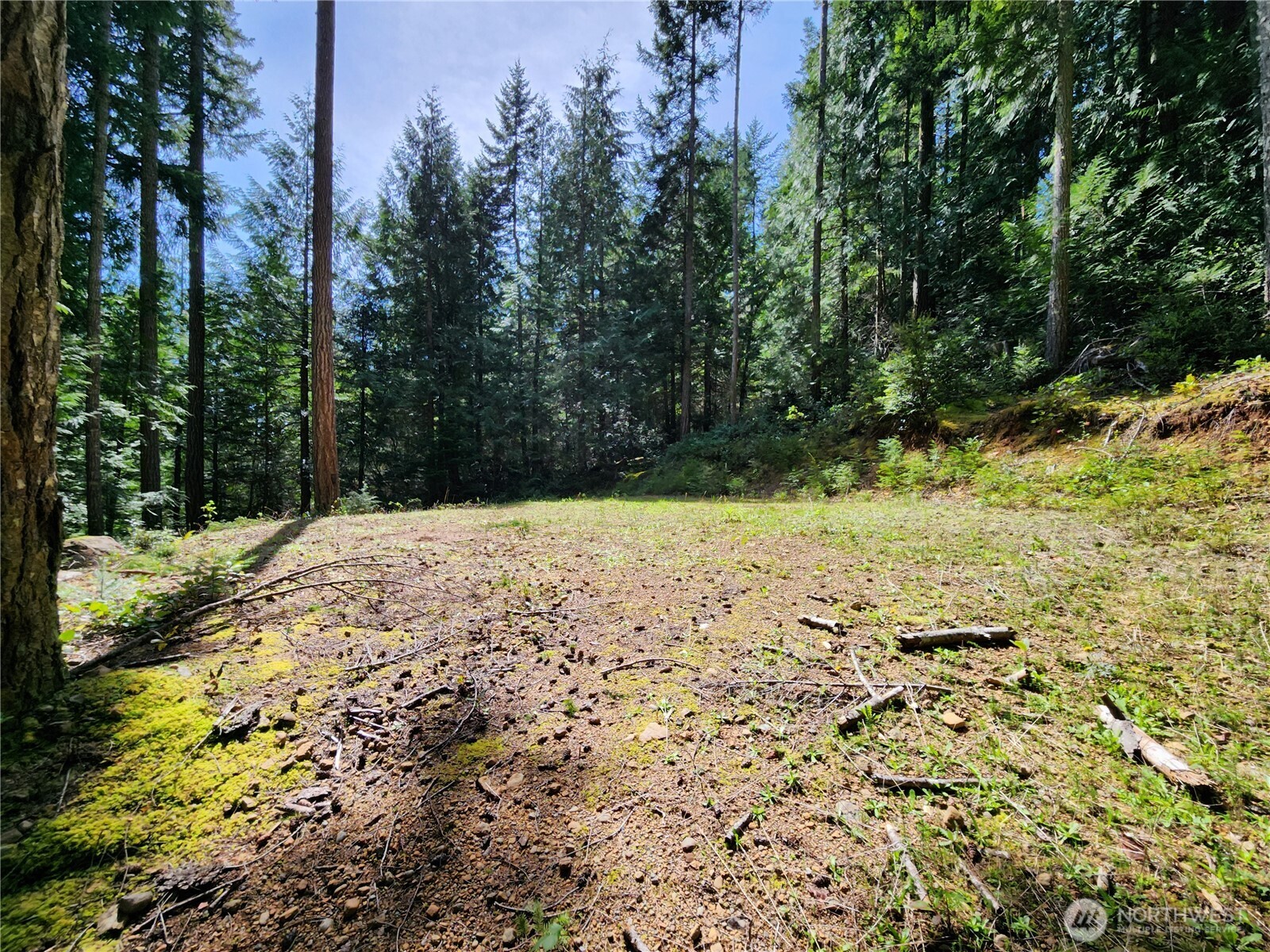 0 Hwy 101 Property Photo 12