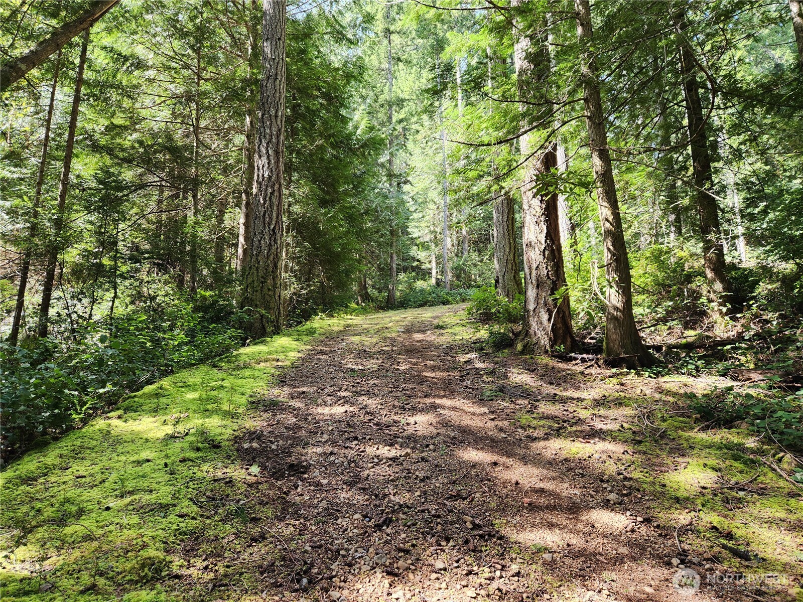 0 Hwy 101 Property Photo 13