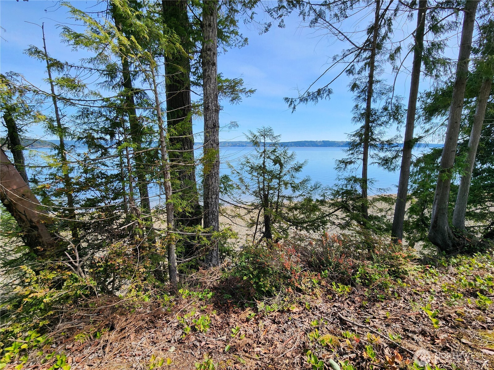 0 Hwy 101 Property Photo 14