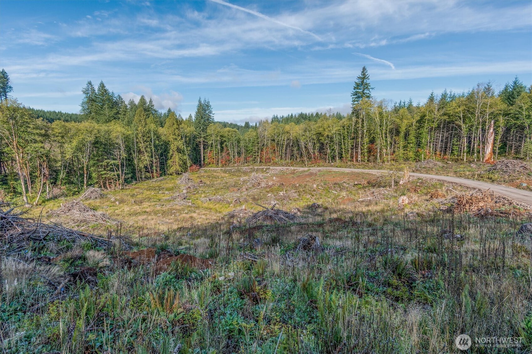 154 Deer Fern Lane Property Photo