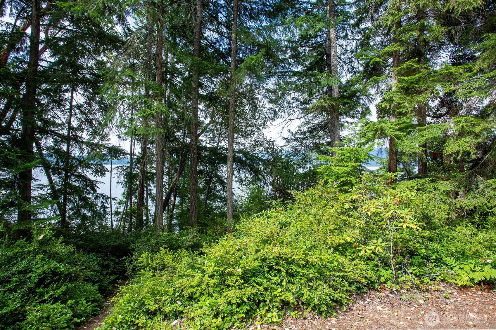 19934 Nw Stavis Bay Road Property Photo 13