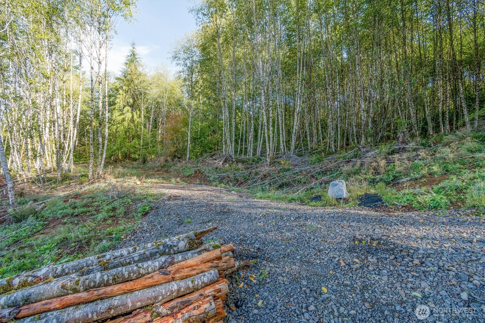 217 Deer Fern Lane Property Photo