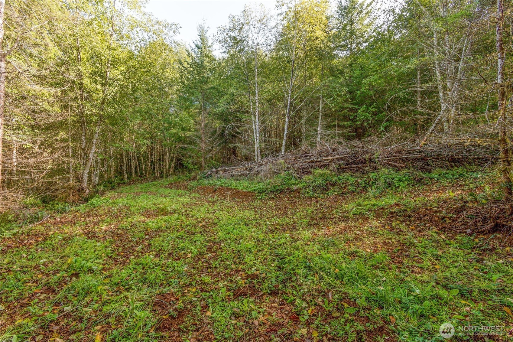 217 Deer Fern Lane Property Photo 5