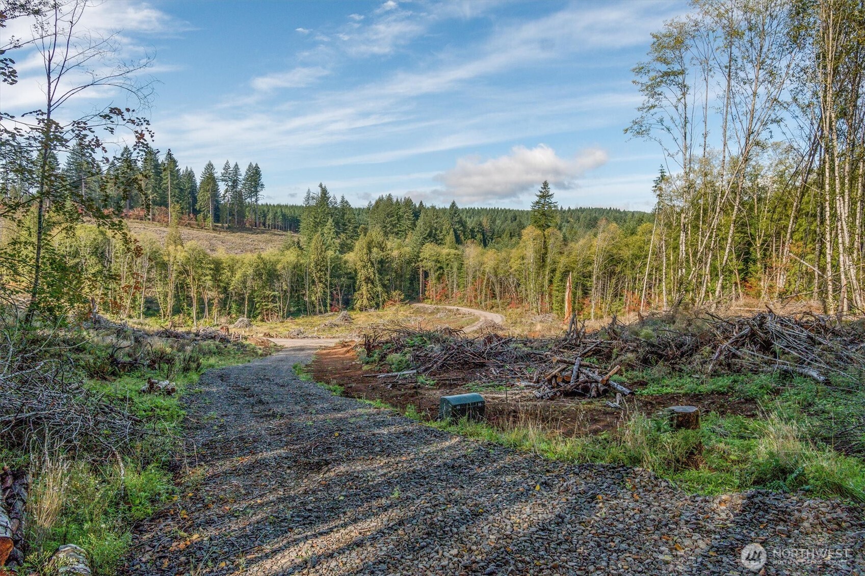 217 Deer Fern Lane Property Photo 8