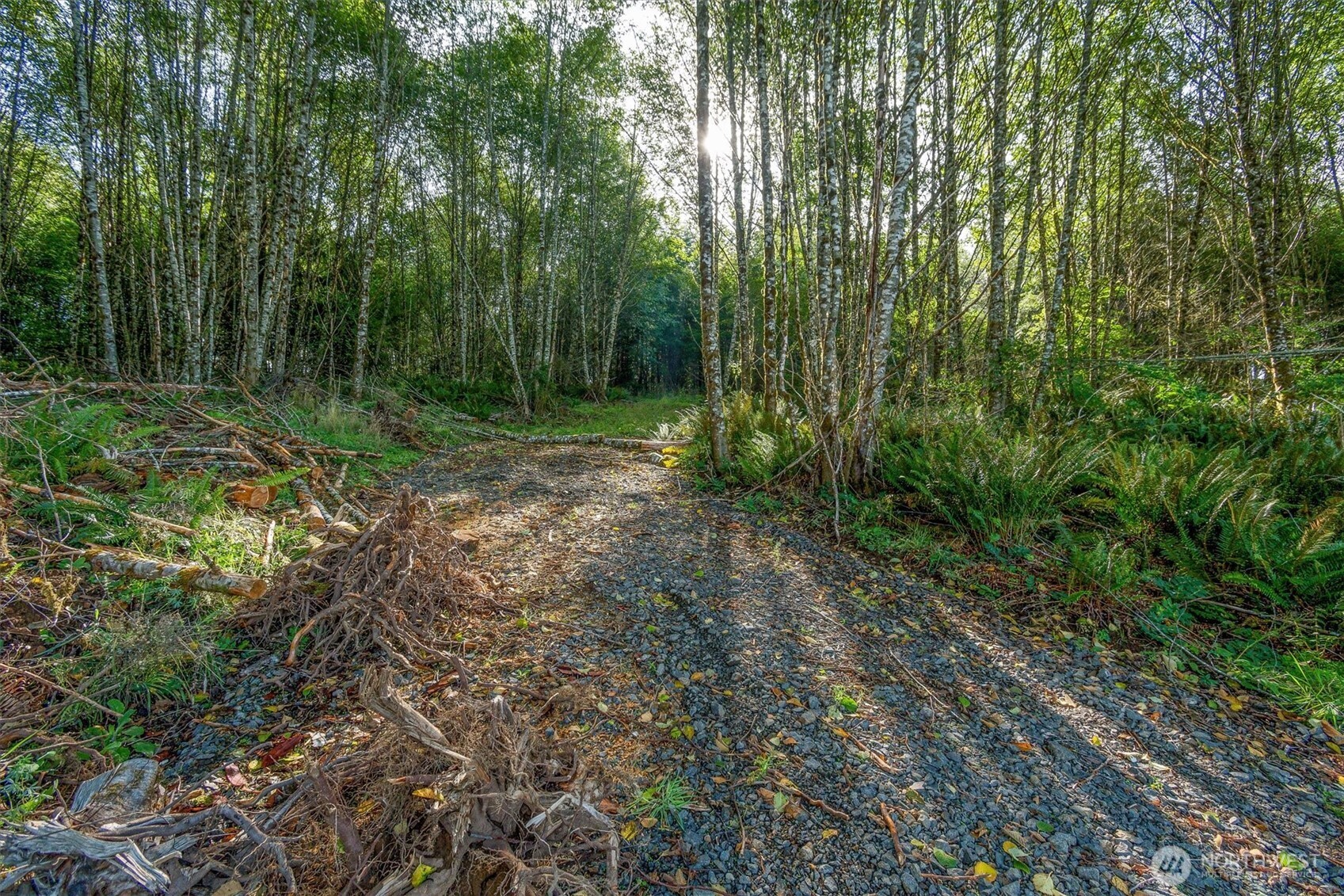 225 Deer Fern Lane Property Photo