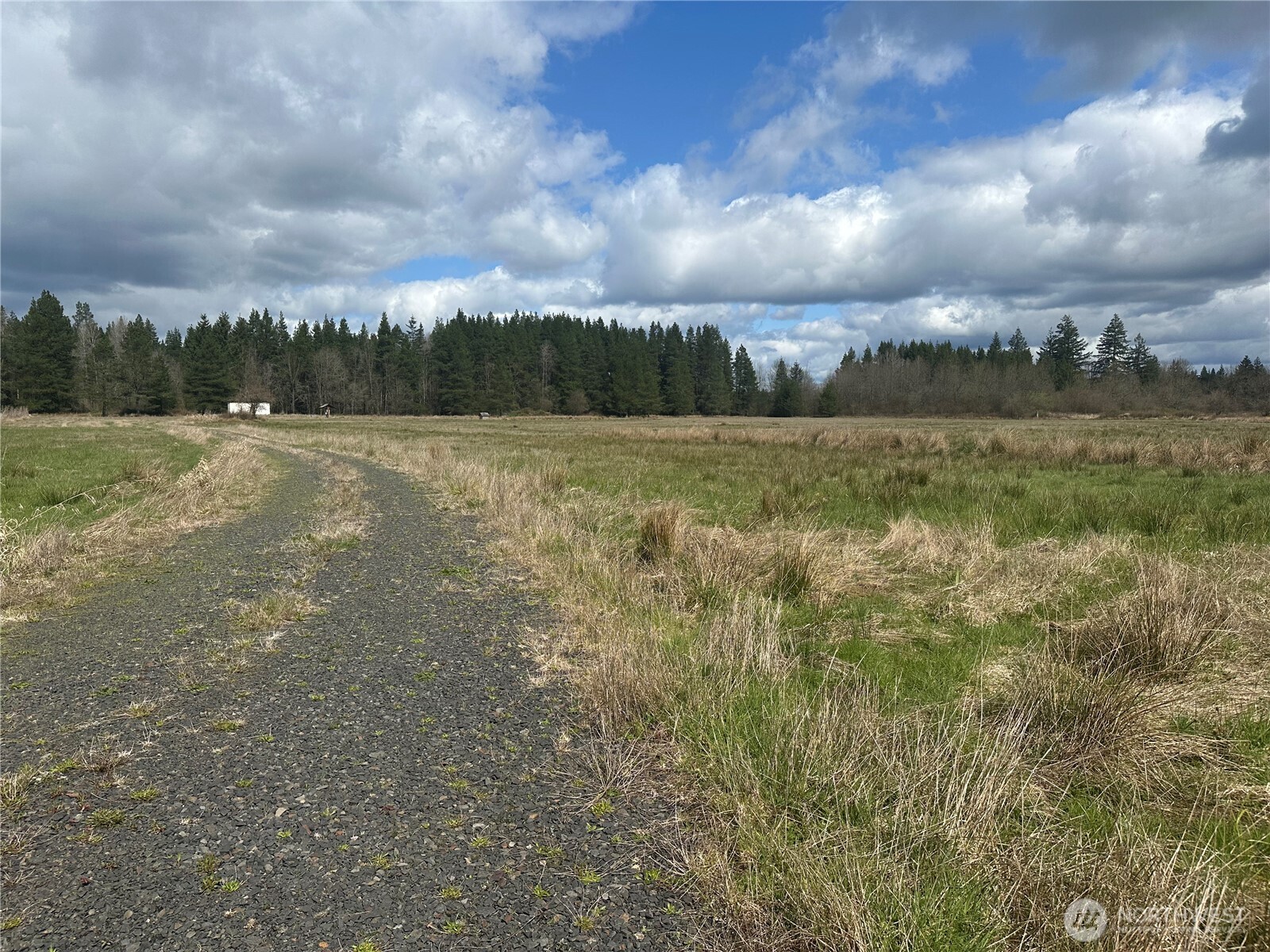 0 Nicholson Road Property Photo 6