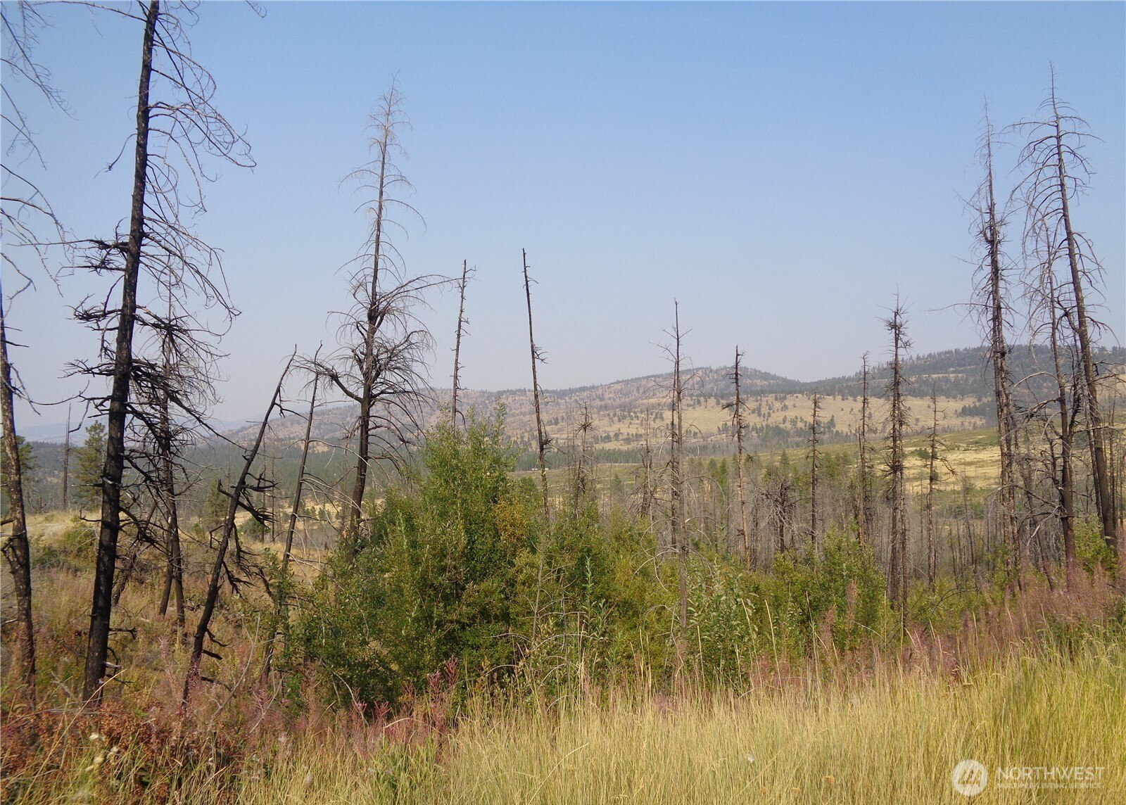 18 Lot Red Feather Road Property Photo 1
