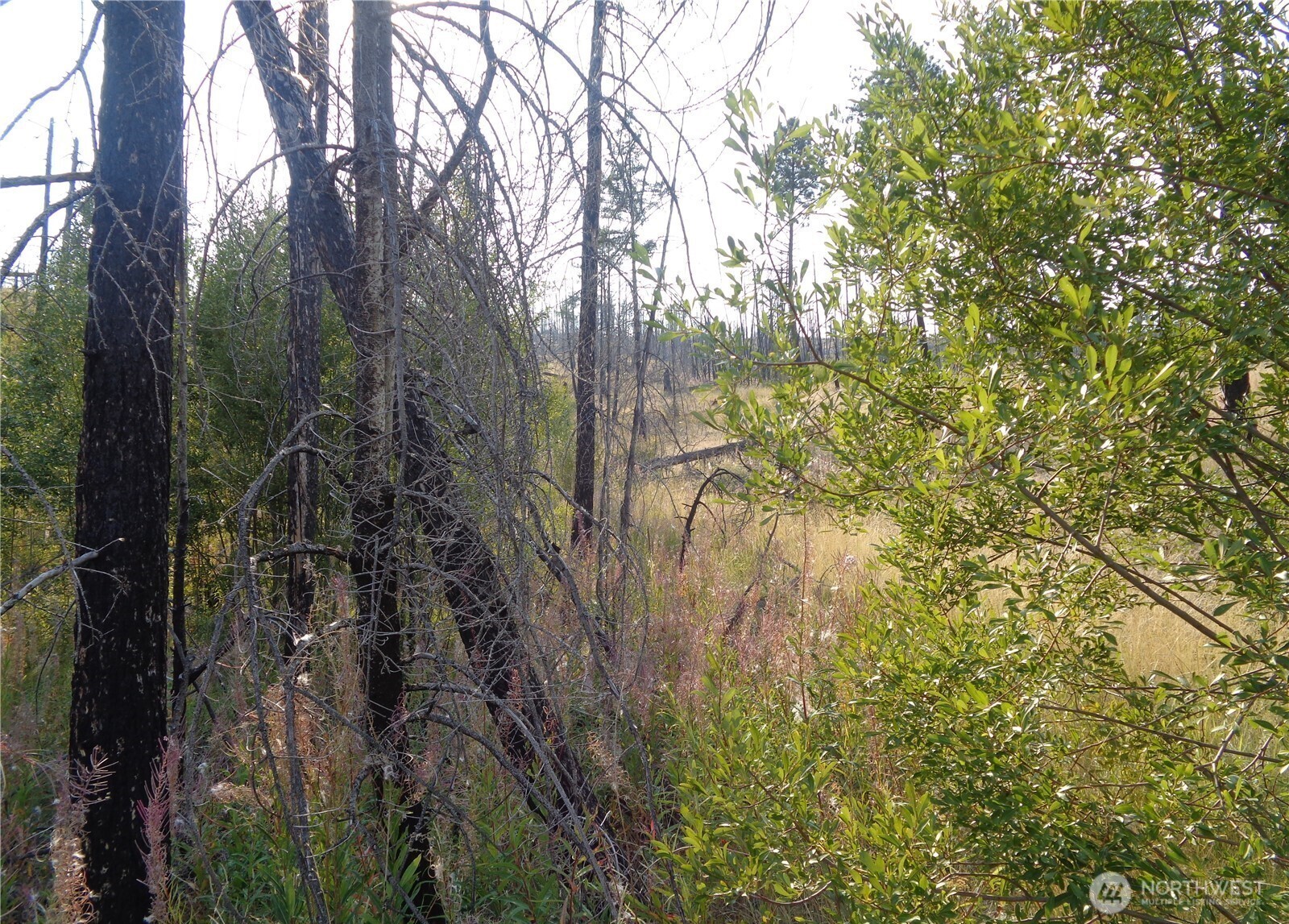 18 Lot Red Feather Road Property Photo 3