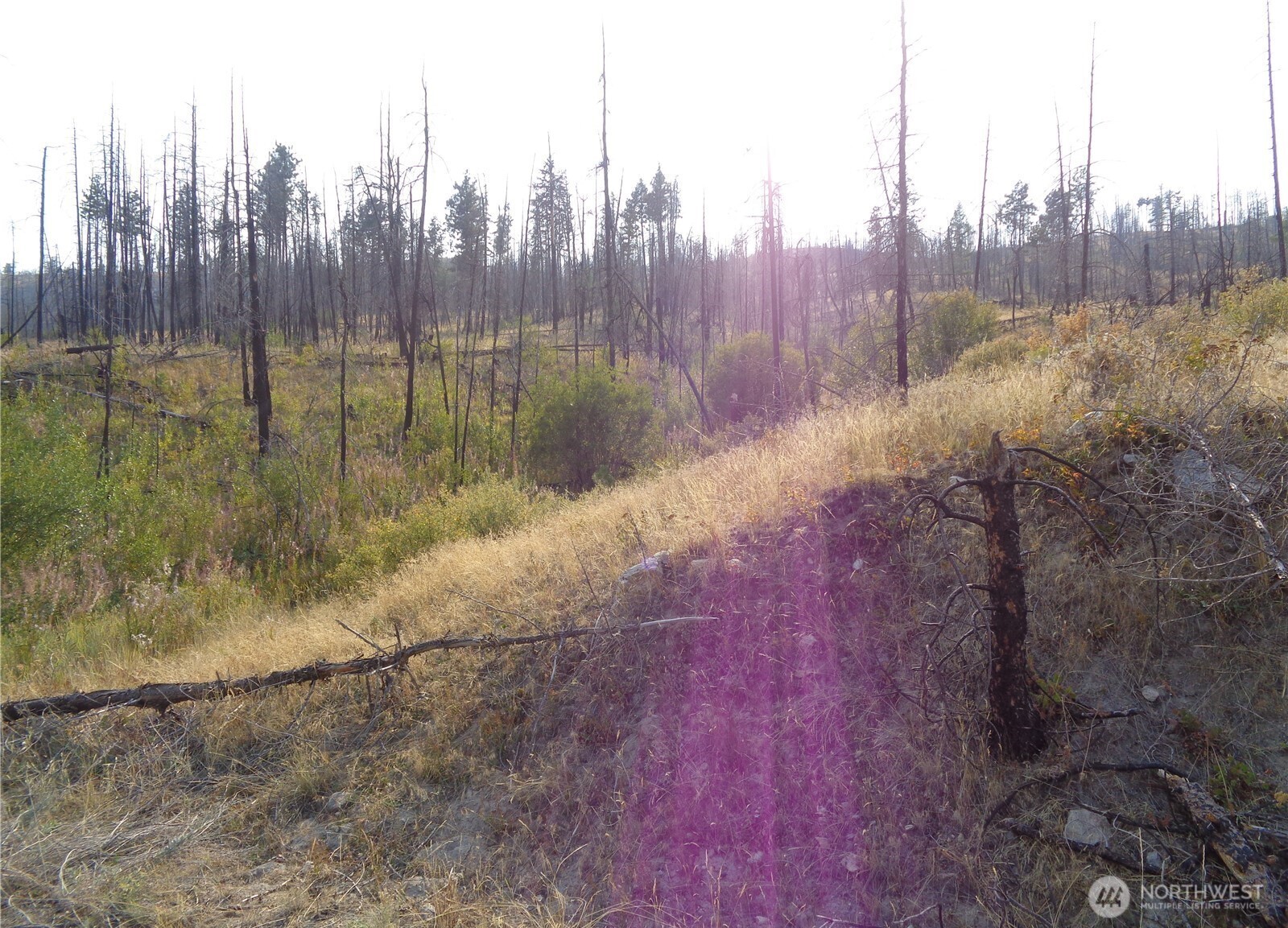 18 Lot Red Feather Road Property Photo 6