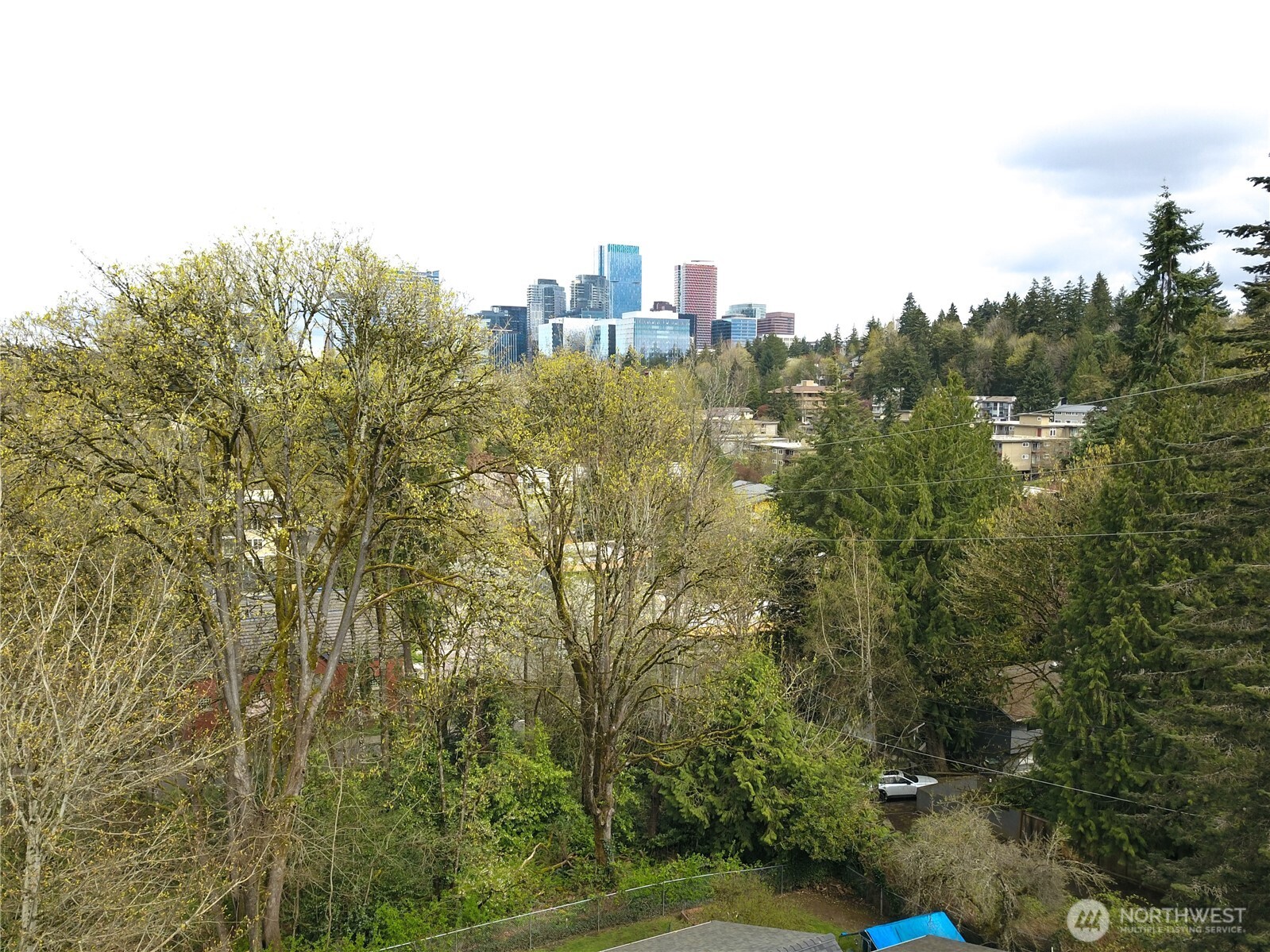 10054 Se 7th Street Property Photo 21