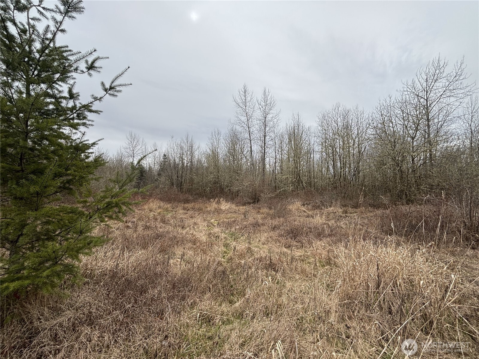 118 Grand Fir Lane Property Photo 2