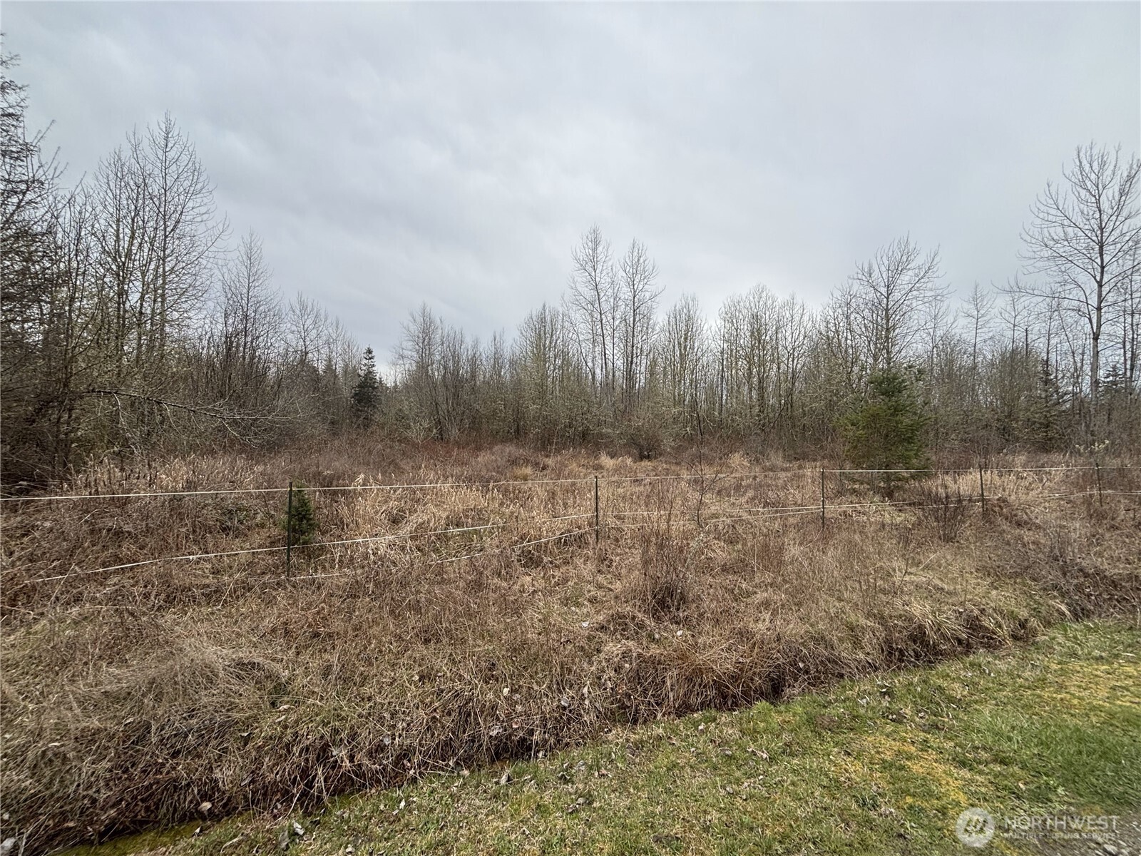 118 Grand Fir Lane Property Photo 3
