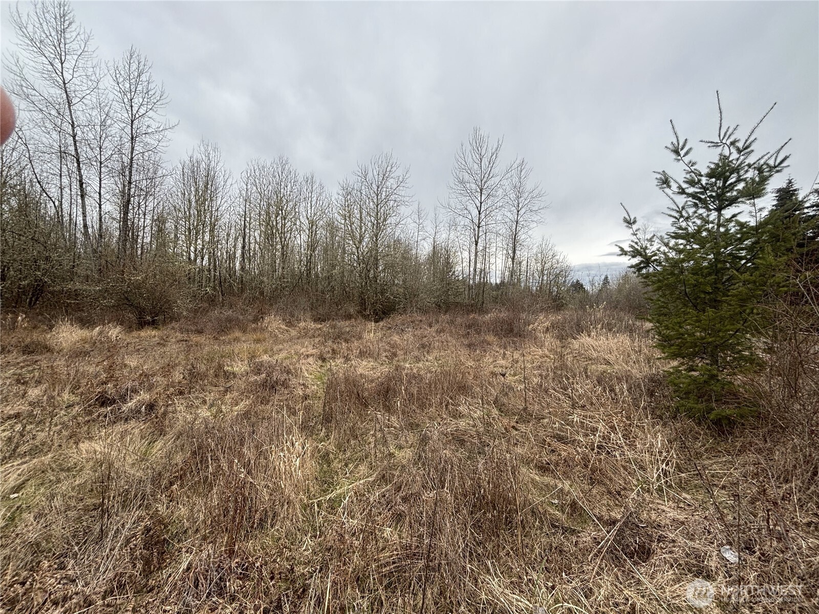 118 Grand Fir Lane Property Photo 4