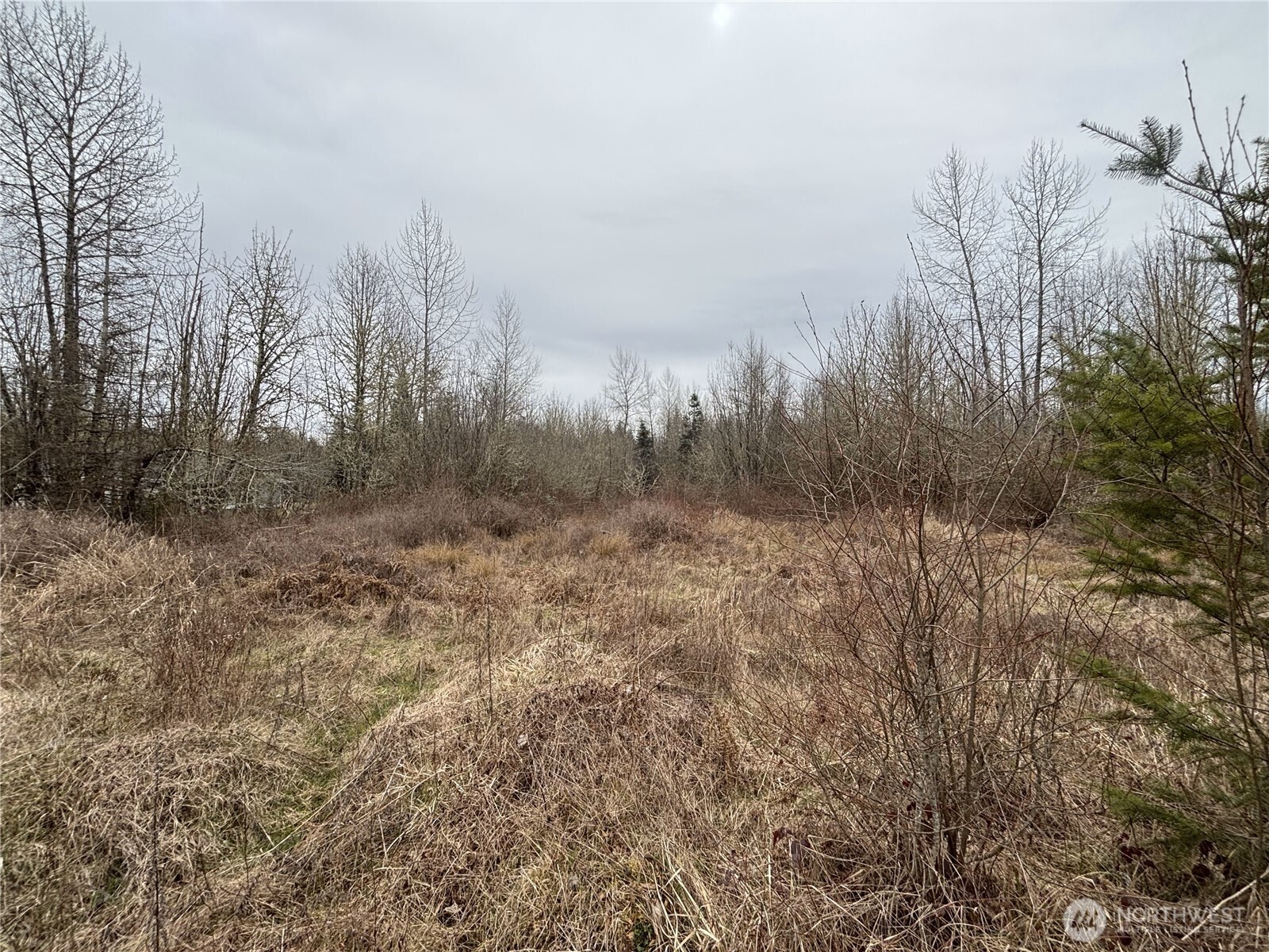 118 Grand Fir Lane Property Photo 7