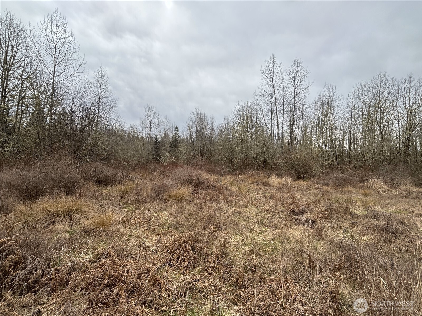 118 Grand Fir Lane Property Photo 8