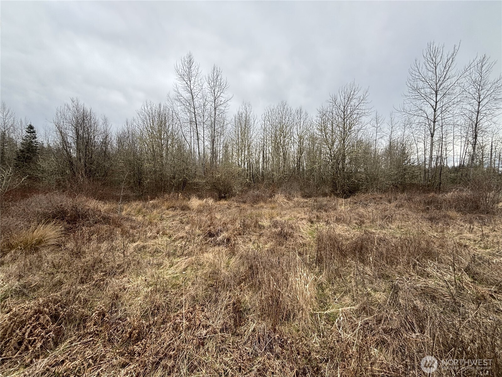 118 Grand Fir Lane Property Photo 10