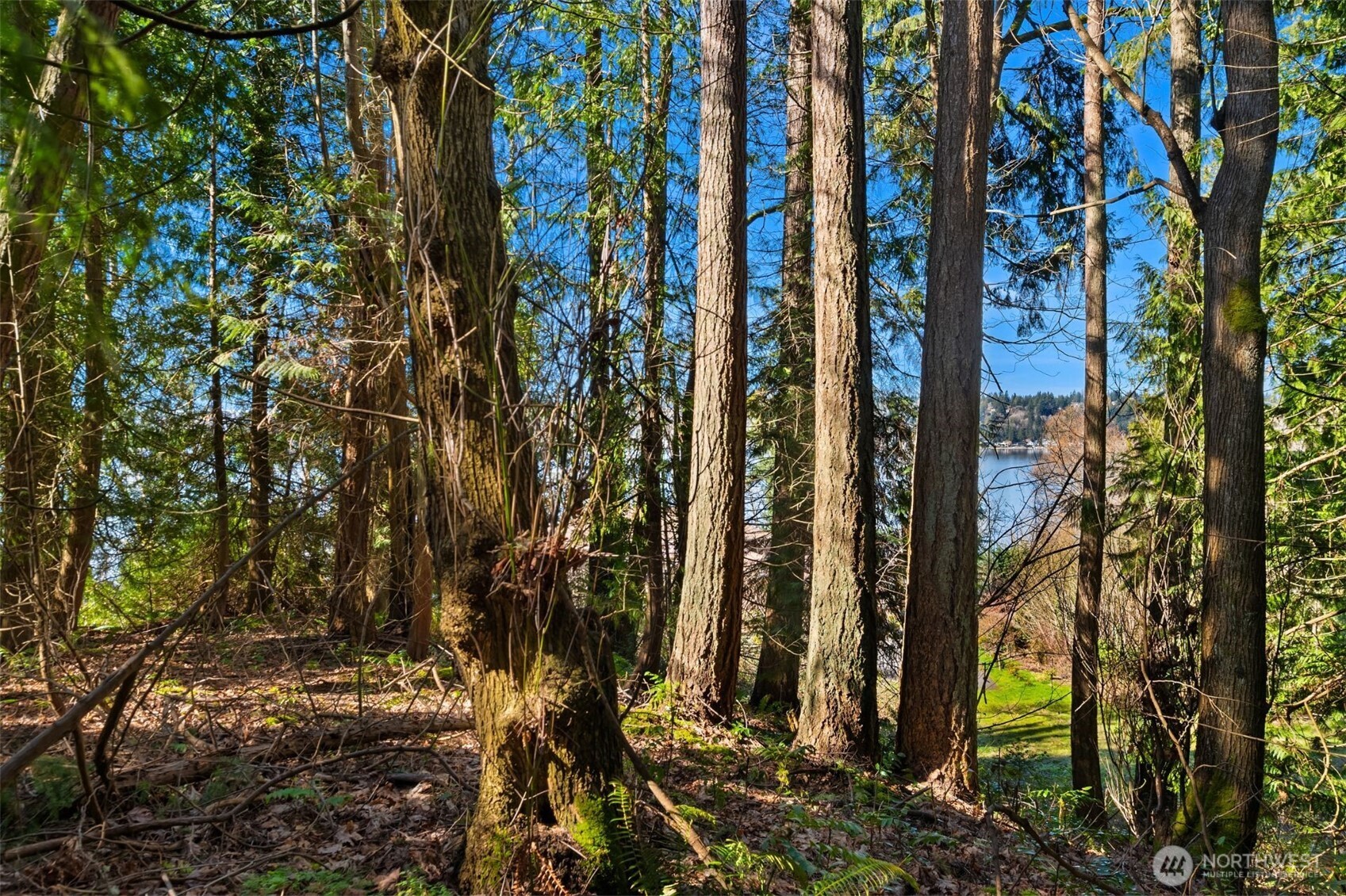 11 Xx E Lake Sammamish Parkway Property Photo 5