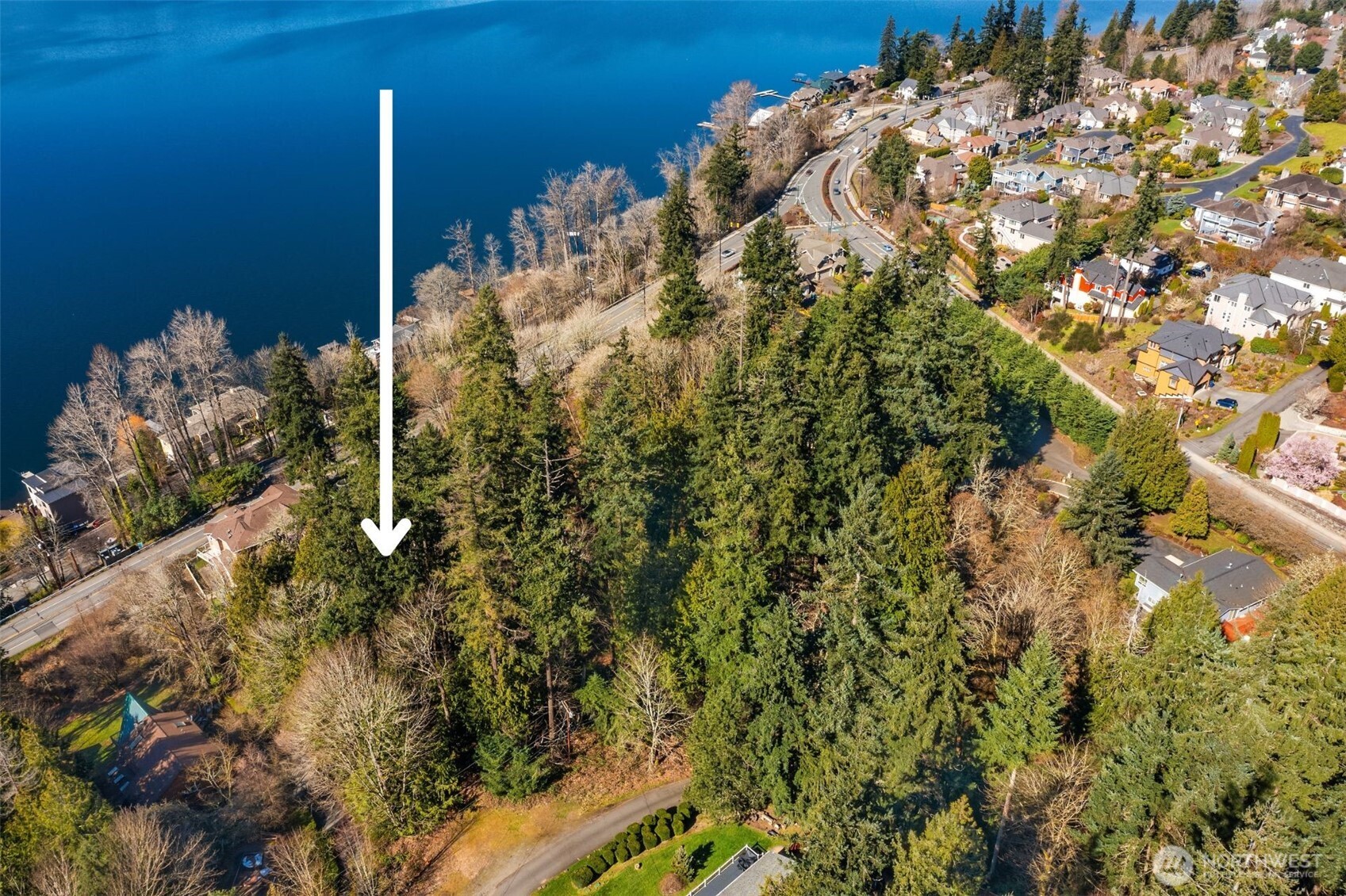 11 Xx E Lake Sammamish Parkway Property Photo 7
