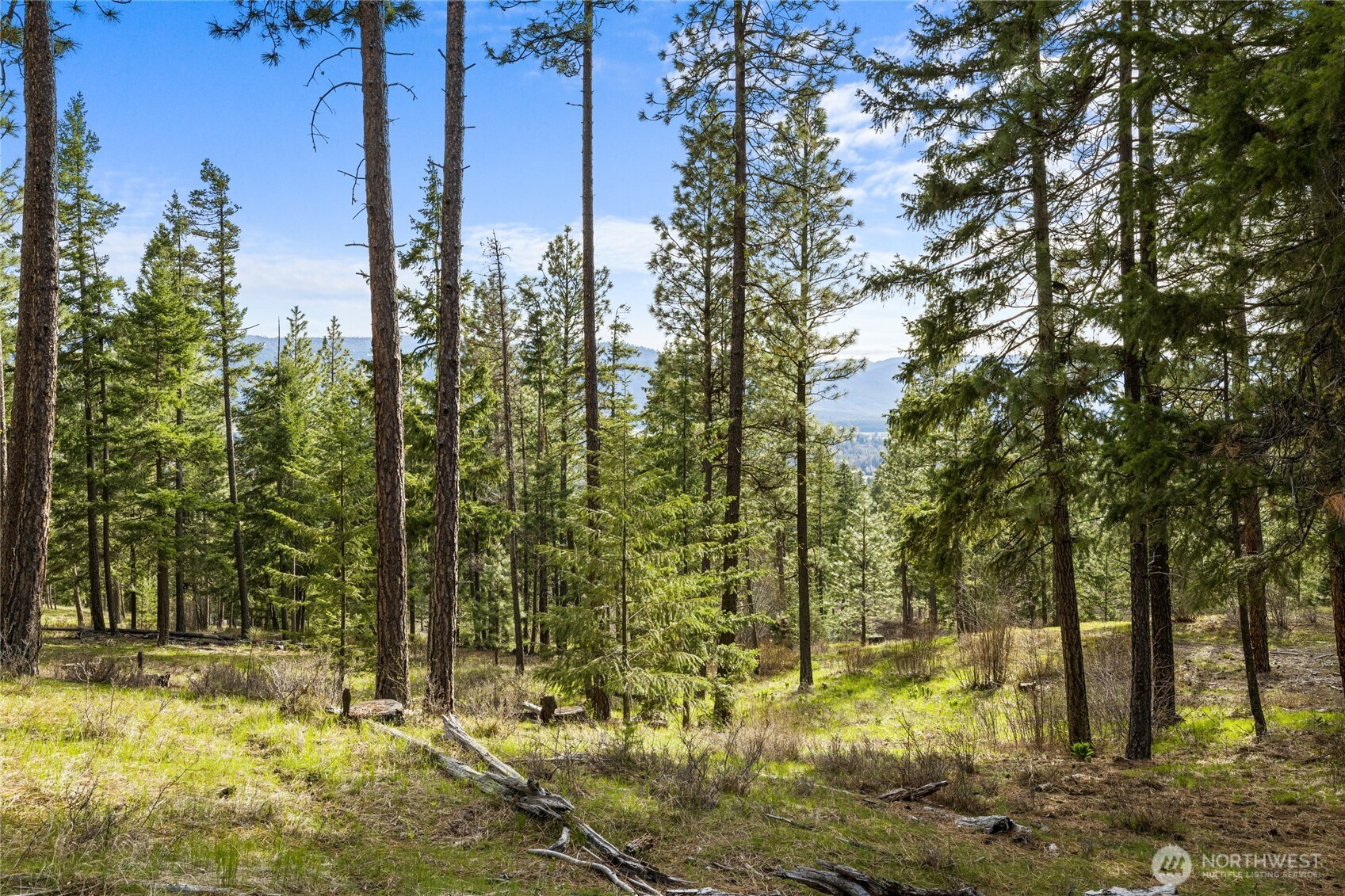 0 Xxx Game Trail Road Property Photo 3