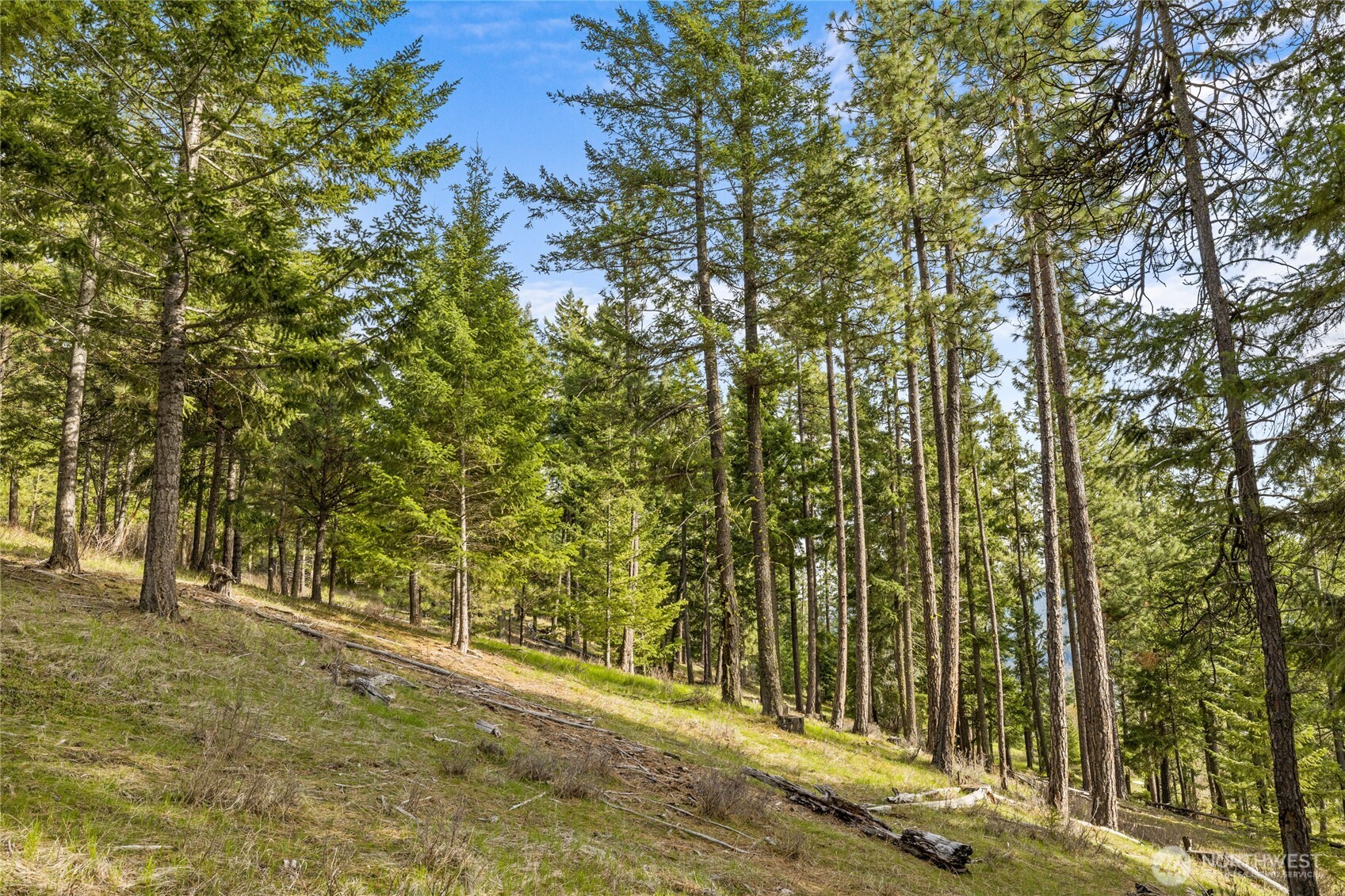 0 Xxx Game Trail Road Property Photo 4