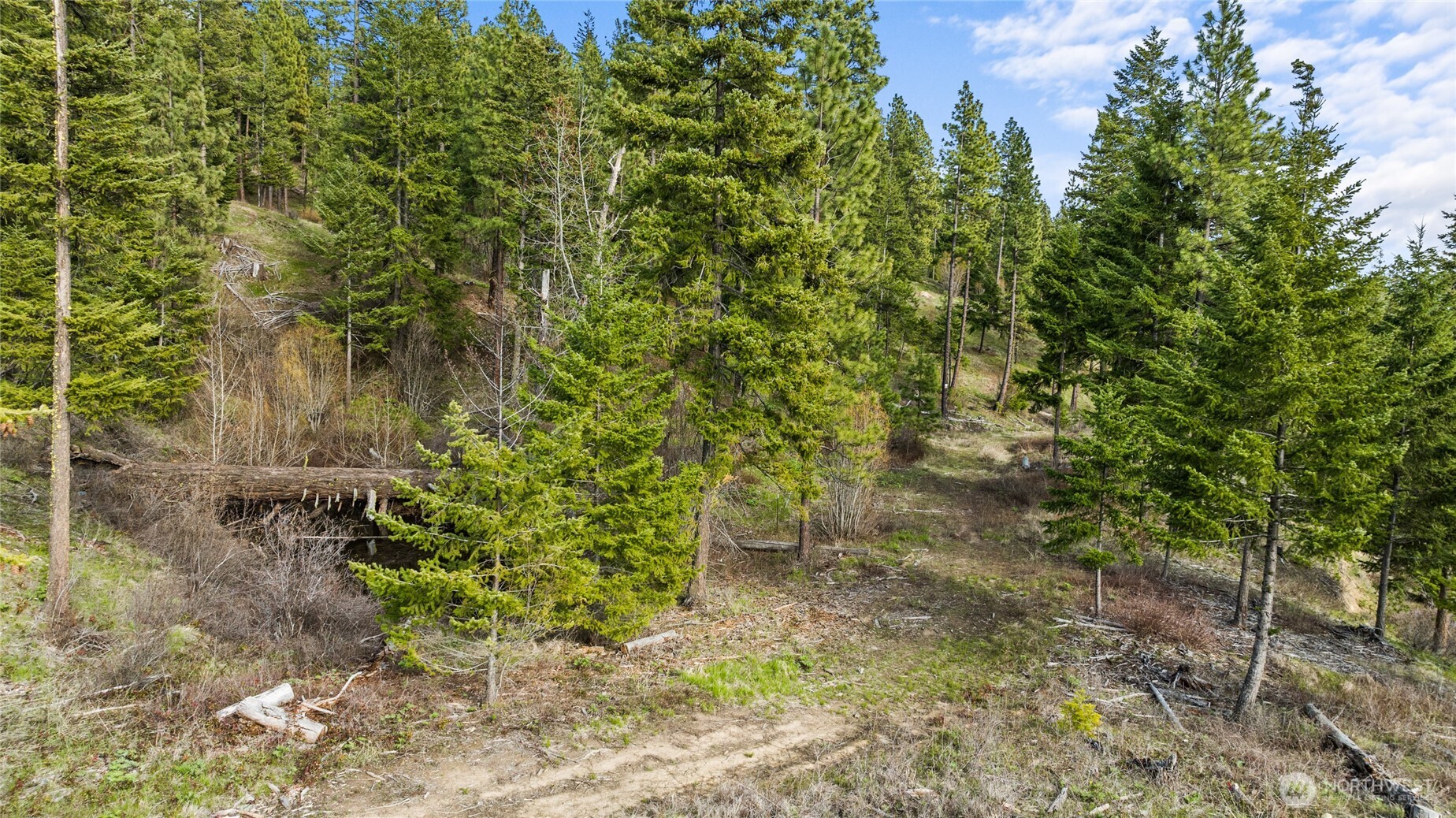 0 Xxx Game Trail Road Property Photo 5