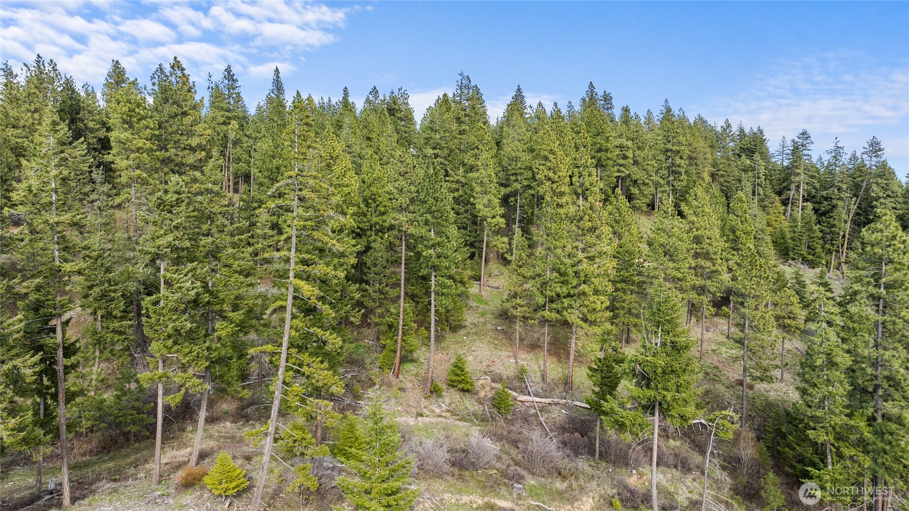 0 Xxx Game Trail Road Property Photo 6