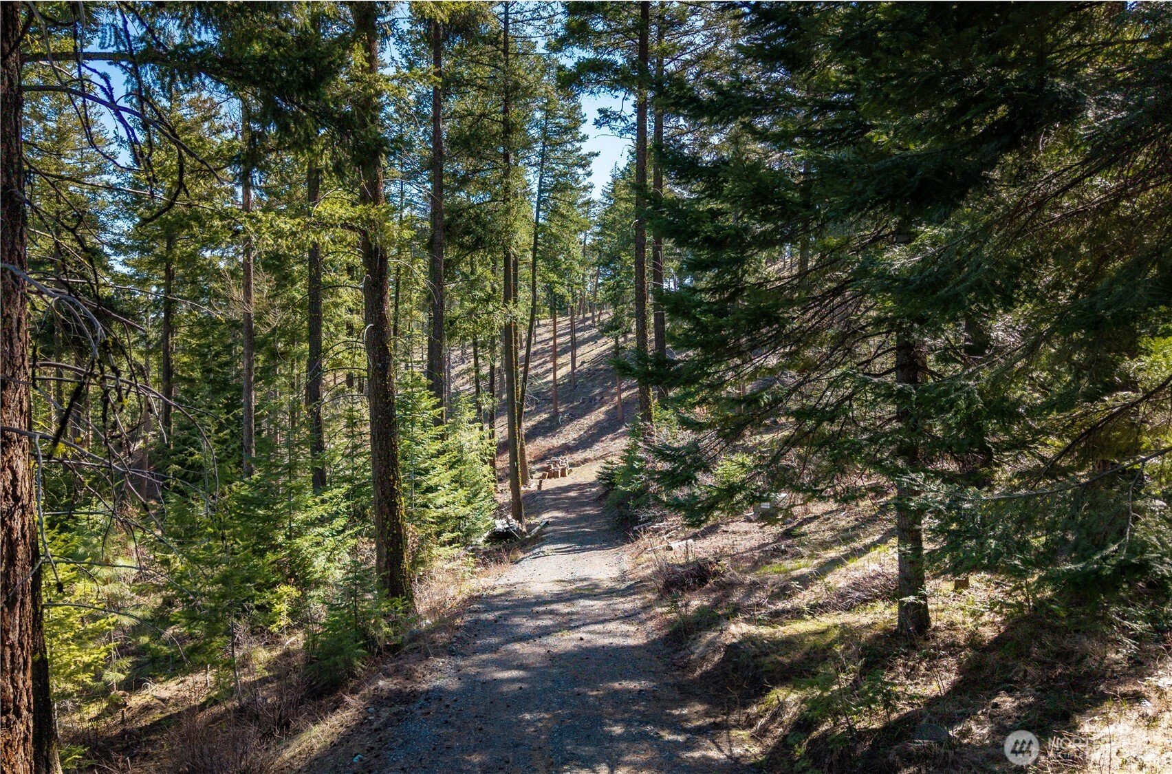 6761 Forest Ridge Drive Property Photo 1
