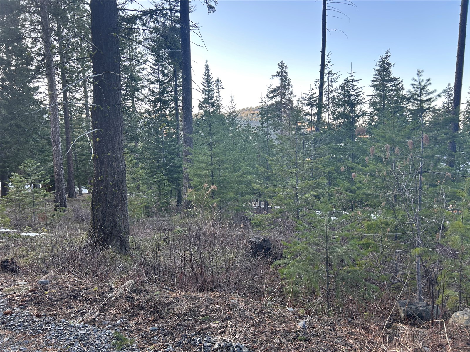 6761 Forest Ridge Drive Property Photo 2