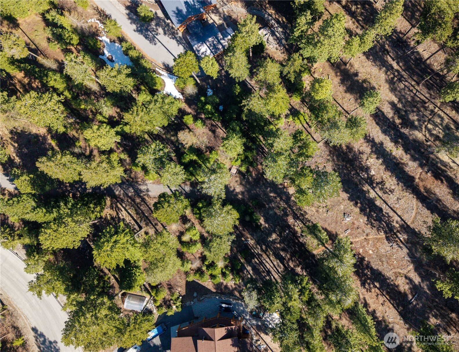 6761 Forest Ridge Drive Property Photo 9