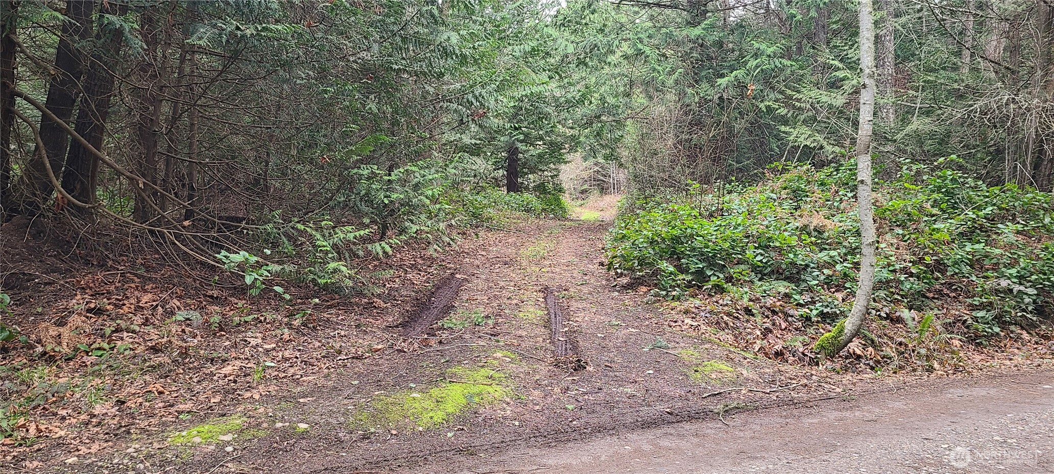 200 Mail Bay Rd Property Photo 9