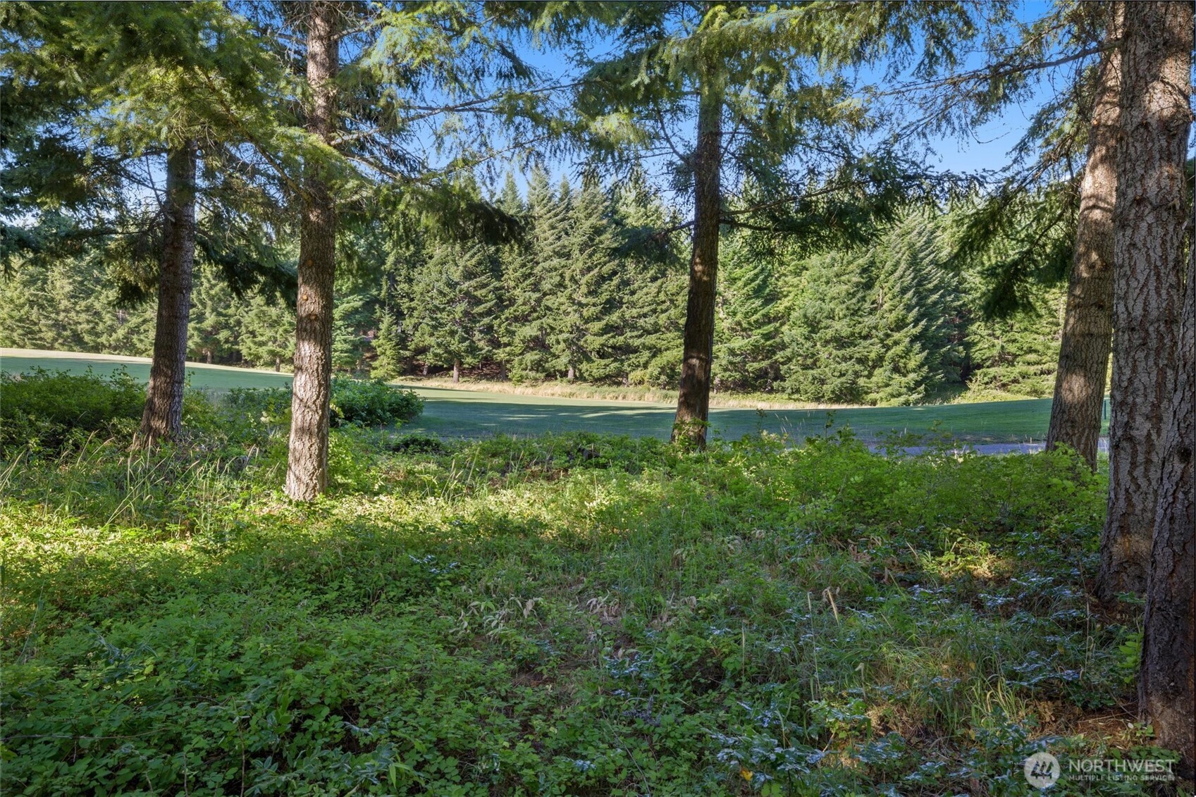 51 Big Bug Lane Property Photo 1