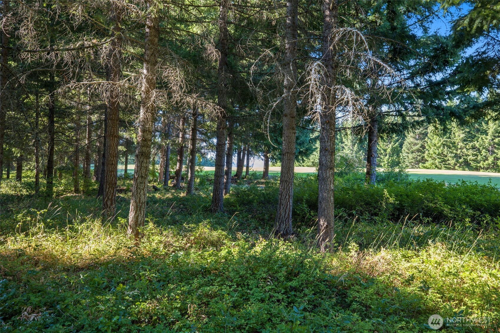 51 Big Bug Lane Property Photo 4