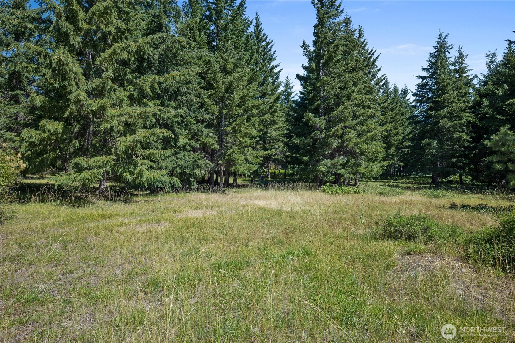 51 Big Bug Lane Property Photo 6