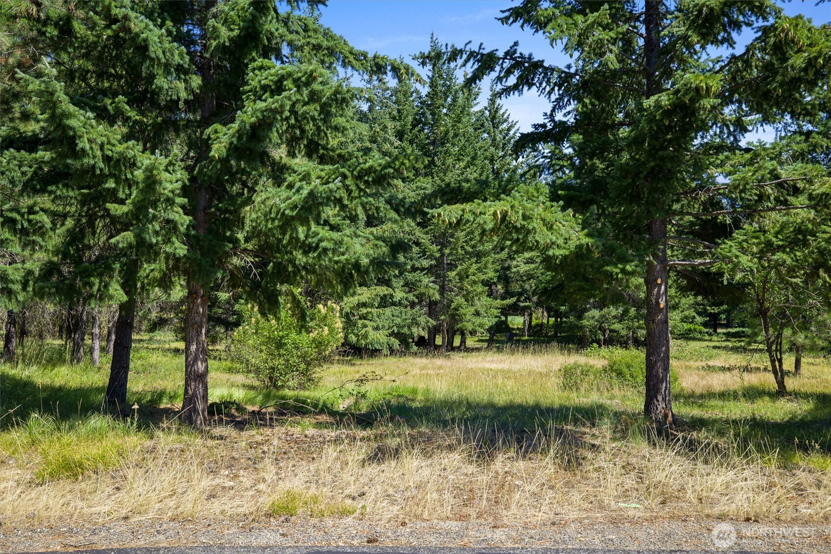 51 Big Bug Lane Property Photo 7